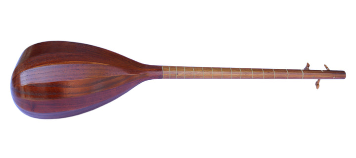 Electric-acoustic Persian tanboor ETM-4 with built-in equalizer and onboard pickup