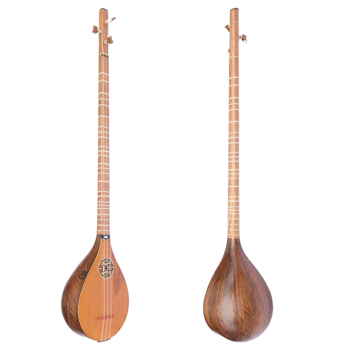 Bam Setar stringed instruments with necks on a white background
