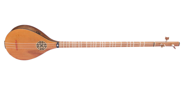 Bam setar MBS-4 by Movlana bass-register Persian instrument