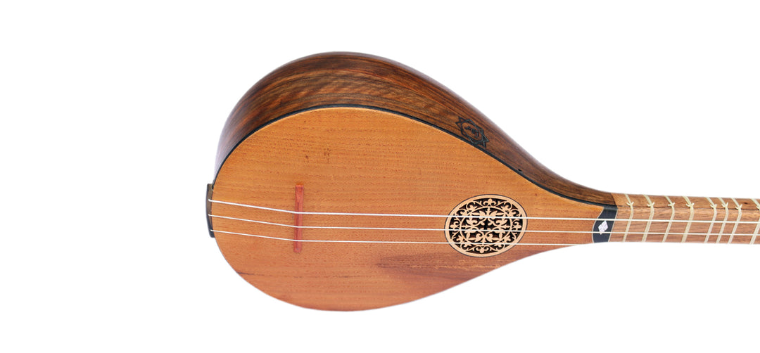 Bam setar MBS-4 by Movlana concert Persian plucked instrument