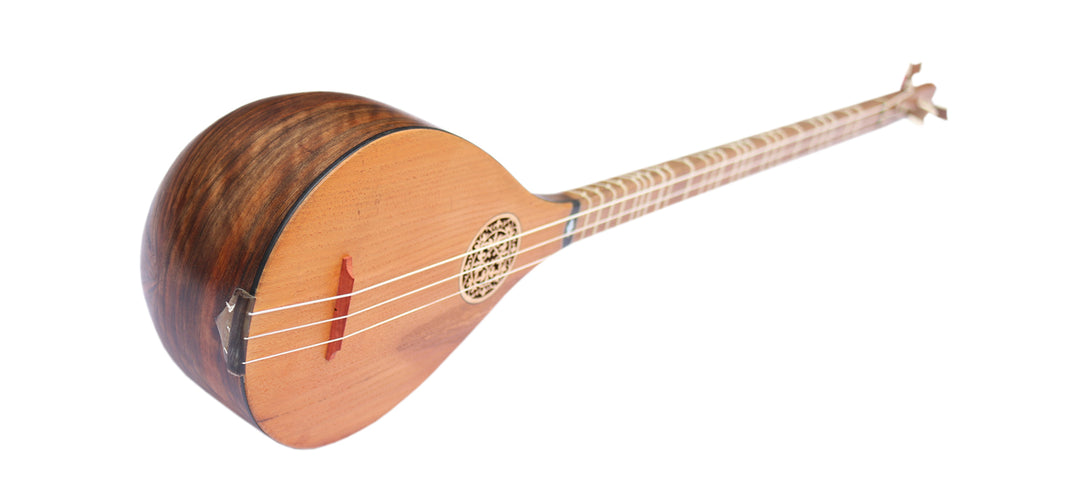Bam setar MBS-4 by Movlana handcrafted Persian classical lute