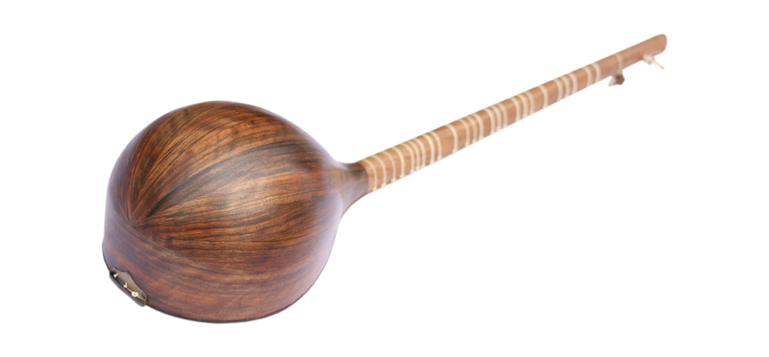 Bam setar MBS-4 by Movlana handmade Persian classical instrument