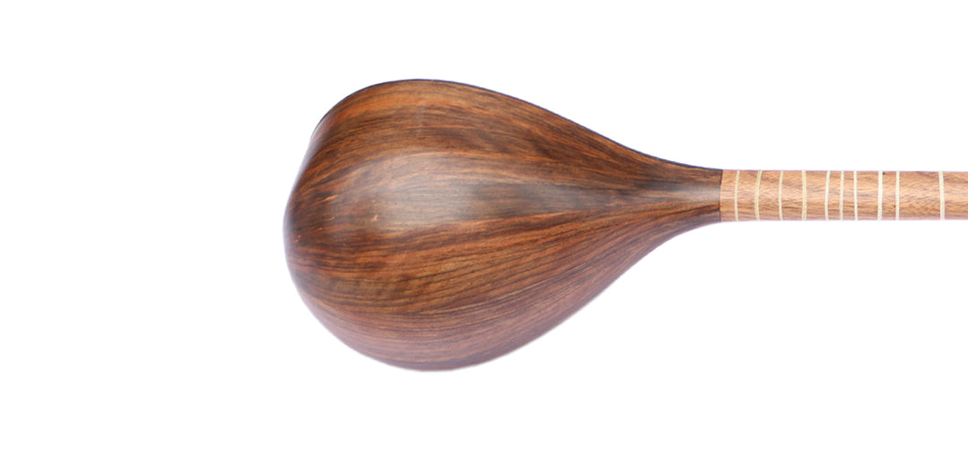 Movlana Persian bam setar MBS-4 stringed instrument mulberry soundboard
