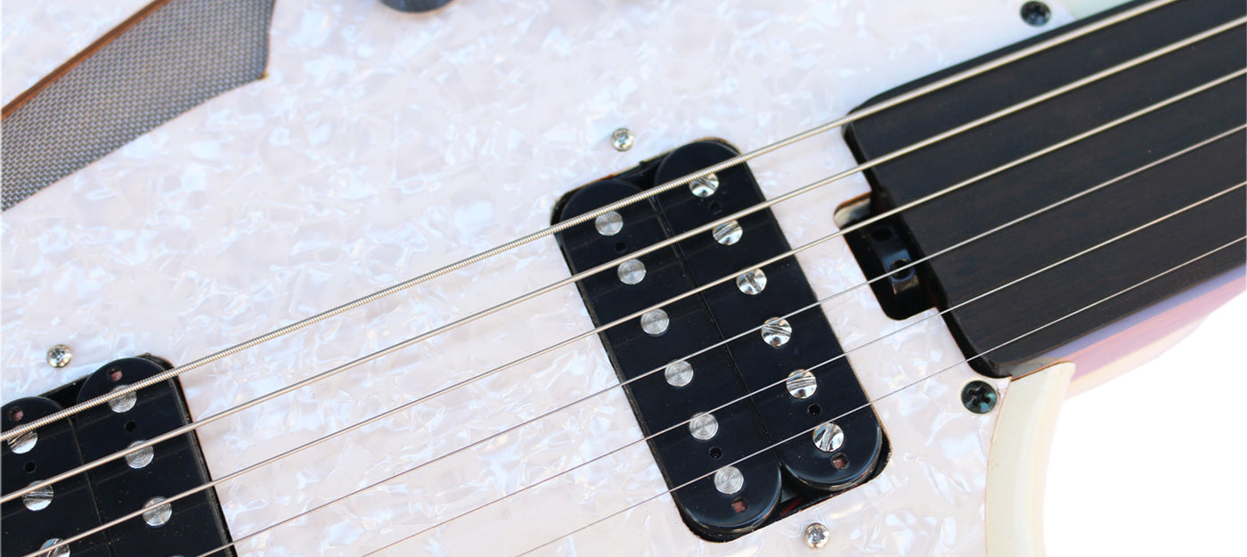 Special Steel String Electric Oud RaksOud