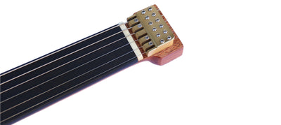 Special Steel String Electric Oud RaksOud