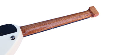 Special Steel String Electric Oud RaksOud