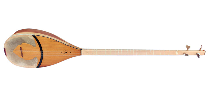 Professional four-string Persian shourangiz MSH-305 long-neck plucked lute
