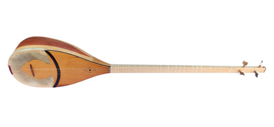 Professional 4 String Shourangiz MSH-305