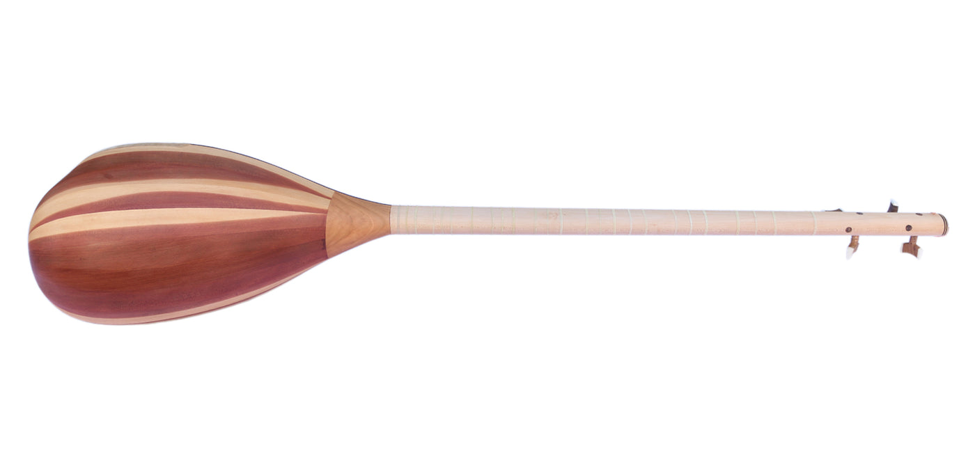 Professional 4 String Shourangiz MSH-305