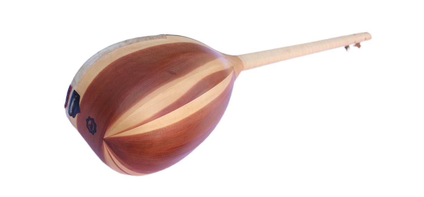 Professional 4 String Shourangiz MSH-305