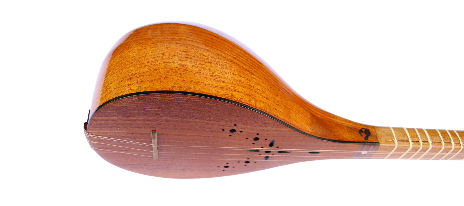 Setar History Mulberry Persian Setar by Nava with Case – Sala Muzik