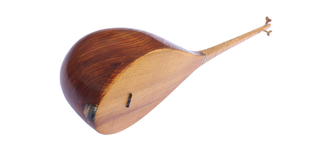 Professional carved mulberry Persian dotar MOD-5 two-string folk lute instrument