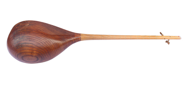 Professional carved mulberry Persian dotar MOD-5 two-string folk lute instrument