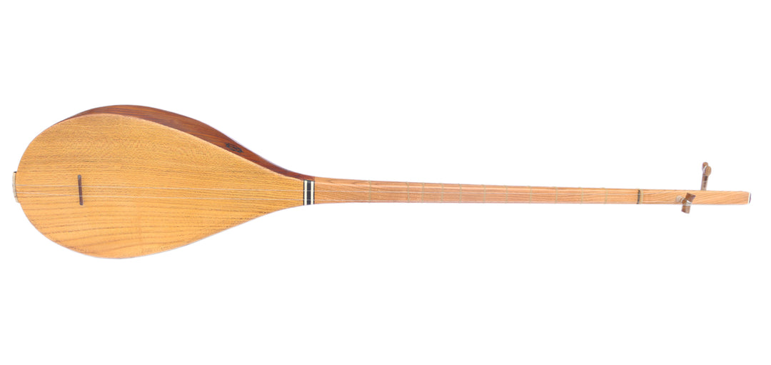 Professional carved mulberry Khorasan dotar MOD-4 two-string Persian folk lute