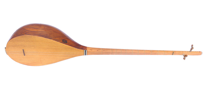 Professional carved mulberry Khorasan dotar MOD-4 two-string Persian folk lute