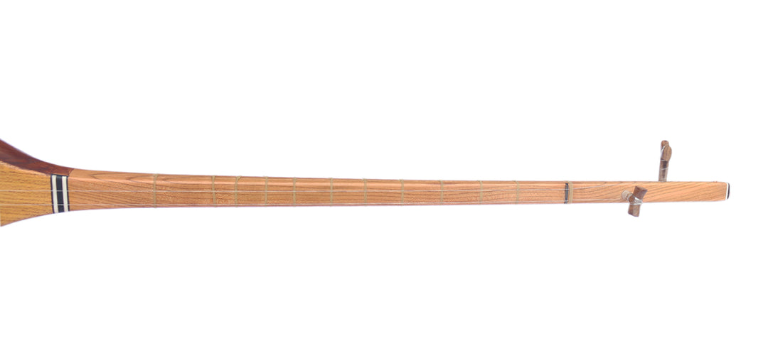 Professional carved mulberry Khorasan dotar MOD-4 two-string Persian folk lute