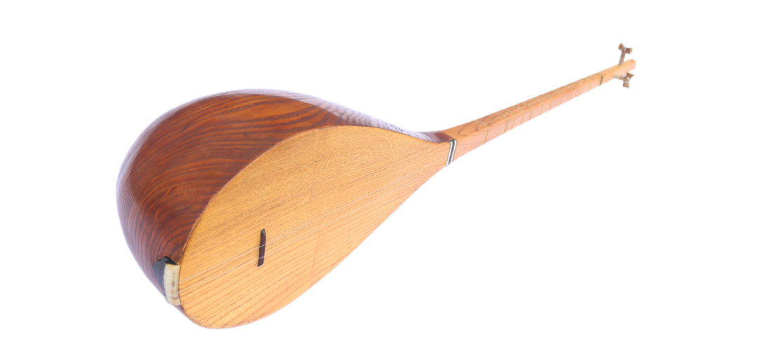 Professional carved mulberry Khorasan dotar MOD-4 two-string Persian folk lute