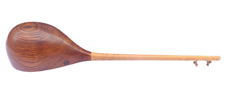 Professional carved mulberry Khorasan dotar MOD-4 two-string Persian folk lute