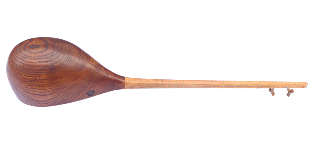 Professional carved mulberry Khorasan dotar MOD-4 two-string Persian folk lute