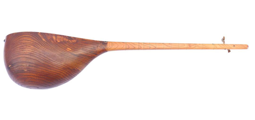 Professional carved mulberry Khorasan dotar MOD-4 two-string Persian folk lute