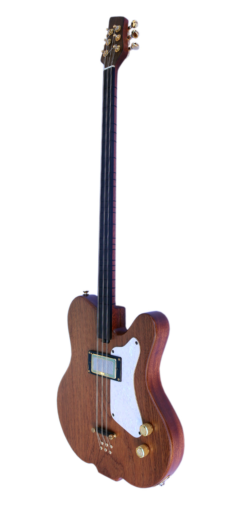 Shop Unique Guitars Online | Microtonal, Fretless & Custom Made