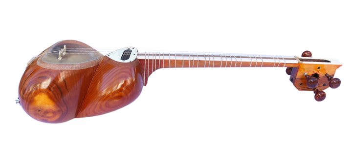 Electric tar MET-4 by Sala with mulberry bowl and onboard humbucker