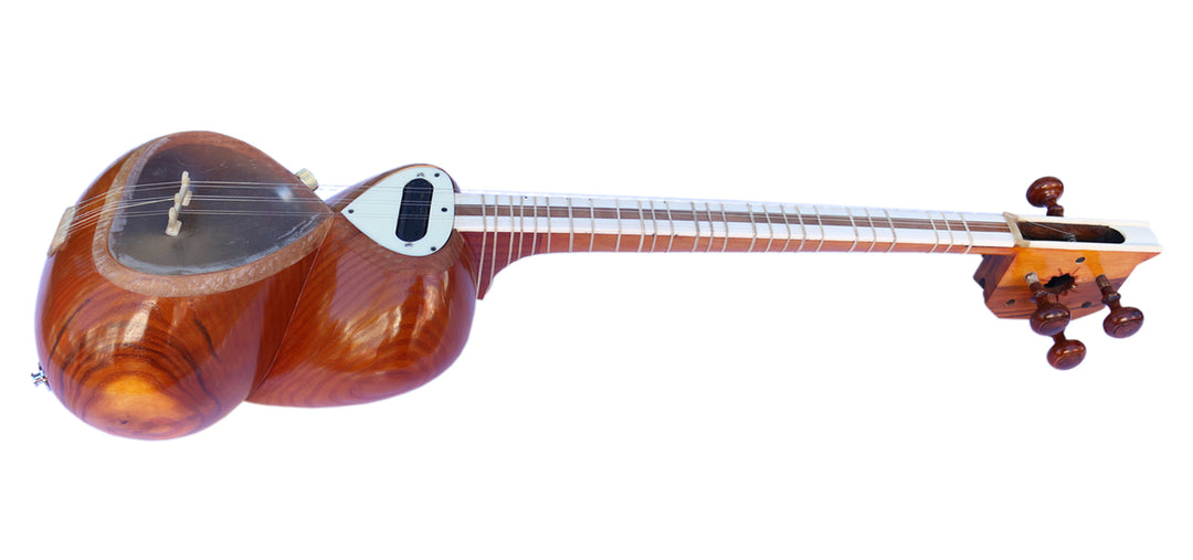 Sala Persian electric tar MET-4 amplified plucked instrument