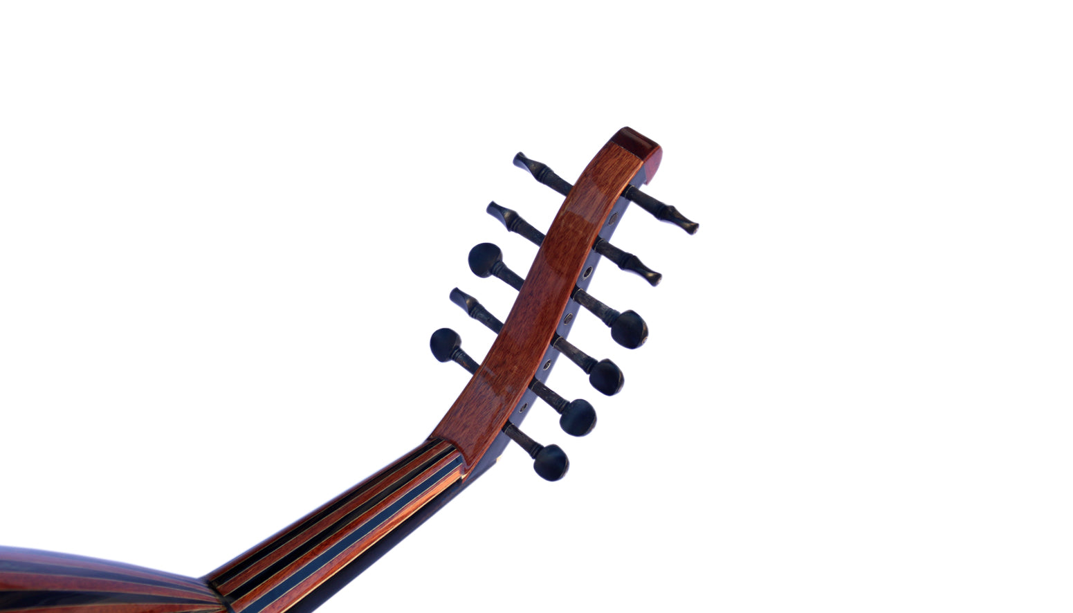 Walnuss türkische Oud AO-109 von Sala Qualität akustisch