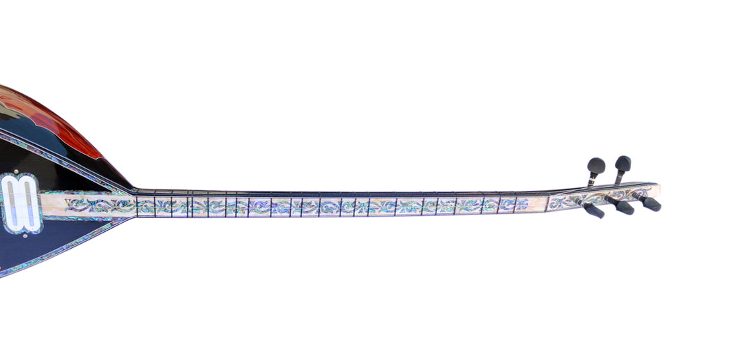 Sala professional electric saz MES-4 with effects