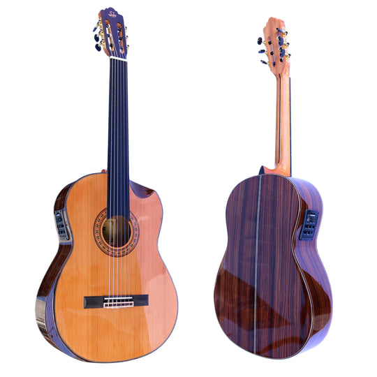 Sala Professional Fretless Electric Classical Guitar With Equalizer CP-5