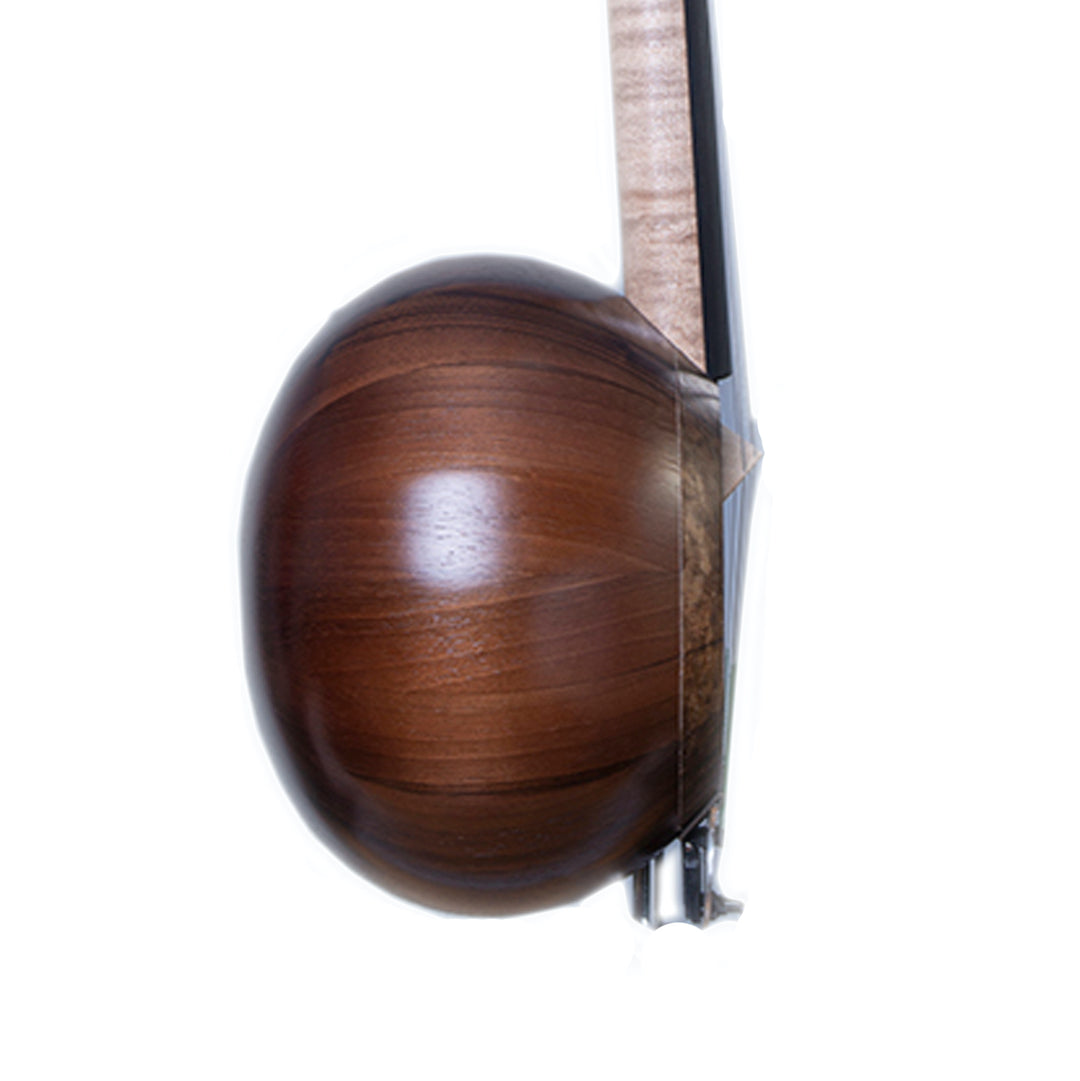 Aler Azeri kamancha AZK-402 with bow