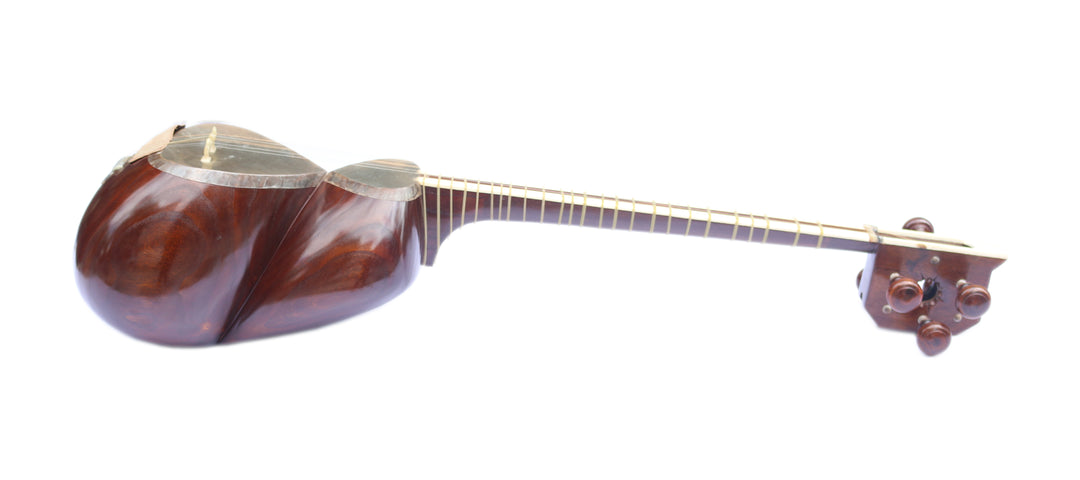 Delnavaz carved mulberry tar DPT-306 Persian double-bowl lute