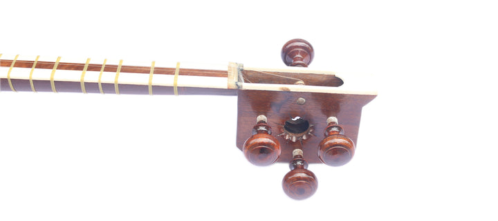 Tar DPT-306 by Delnavaz concert Persian plucked instrument