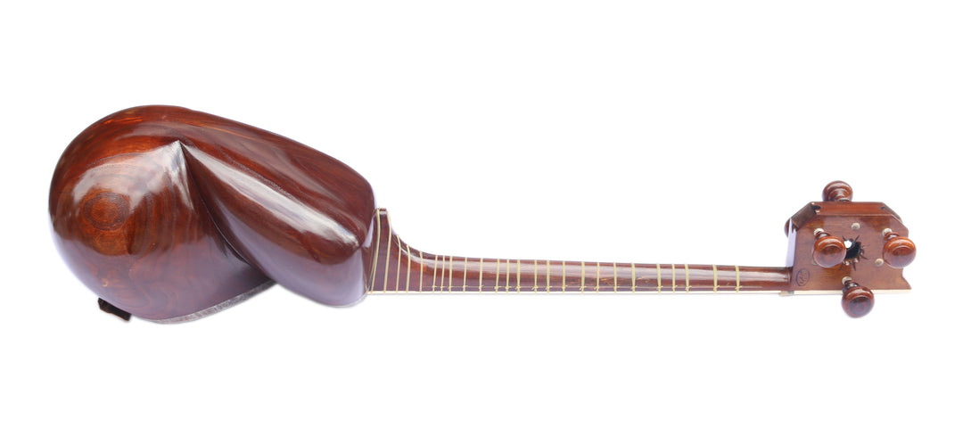 Delnavaz carved mulberry tar DPT-306 luthier instrument