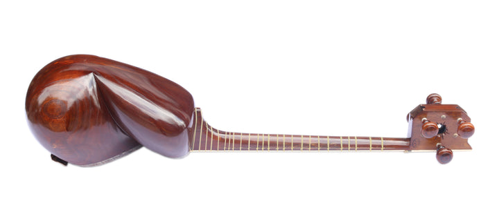 Delnavaz carved mulberry tar DPT-306 luthier instrument