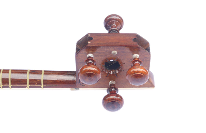 Persian tar DPT-306 by Delnavaz handcrafted double-bowl lute