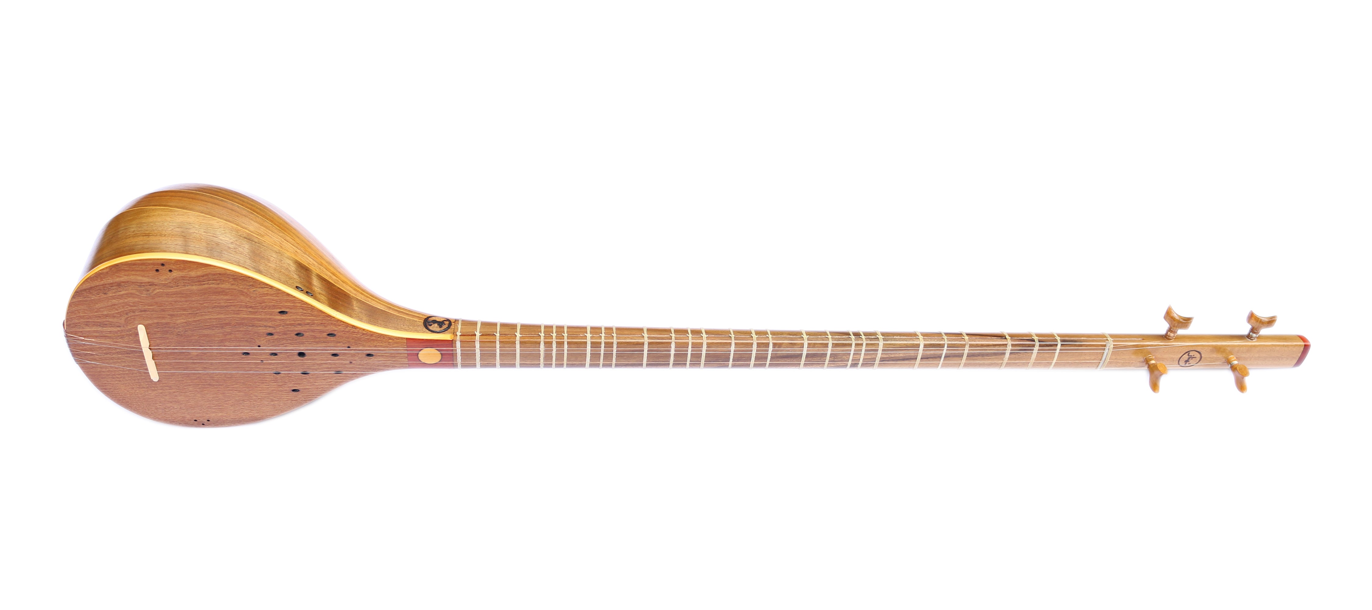 Iranian String Instrument Setar – Sala Muzik