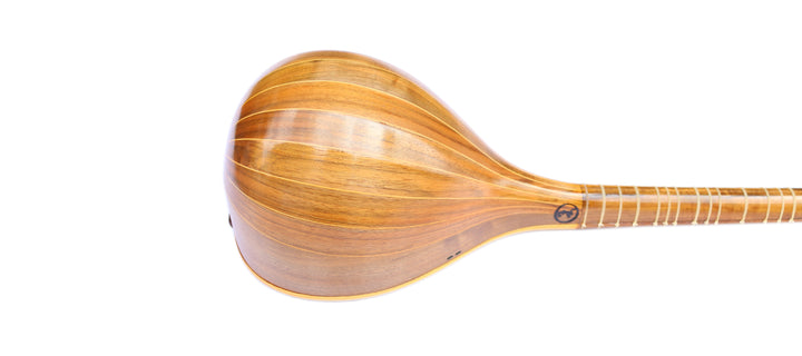Iranian String Instrument Setar