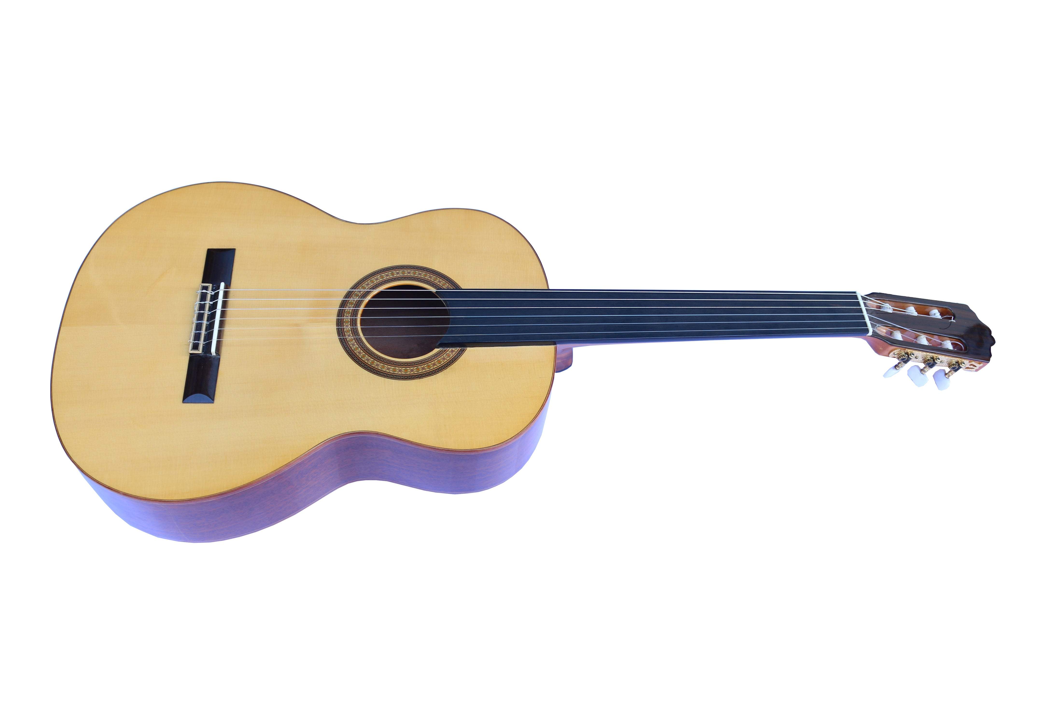 Fretless Classical Guitar DGP-203