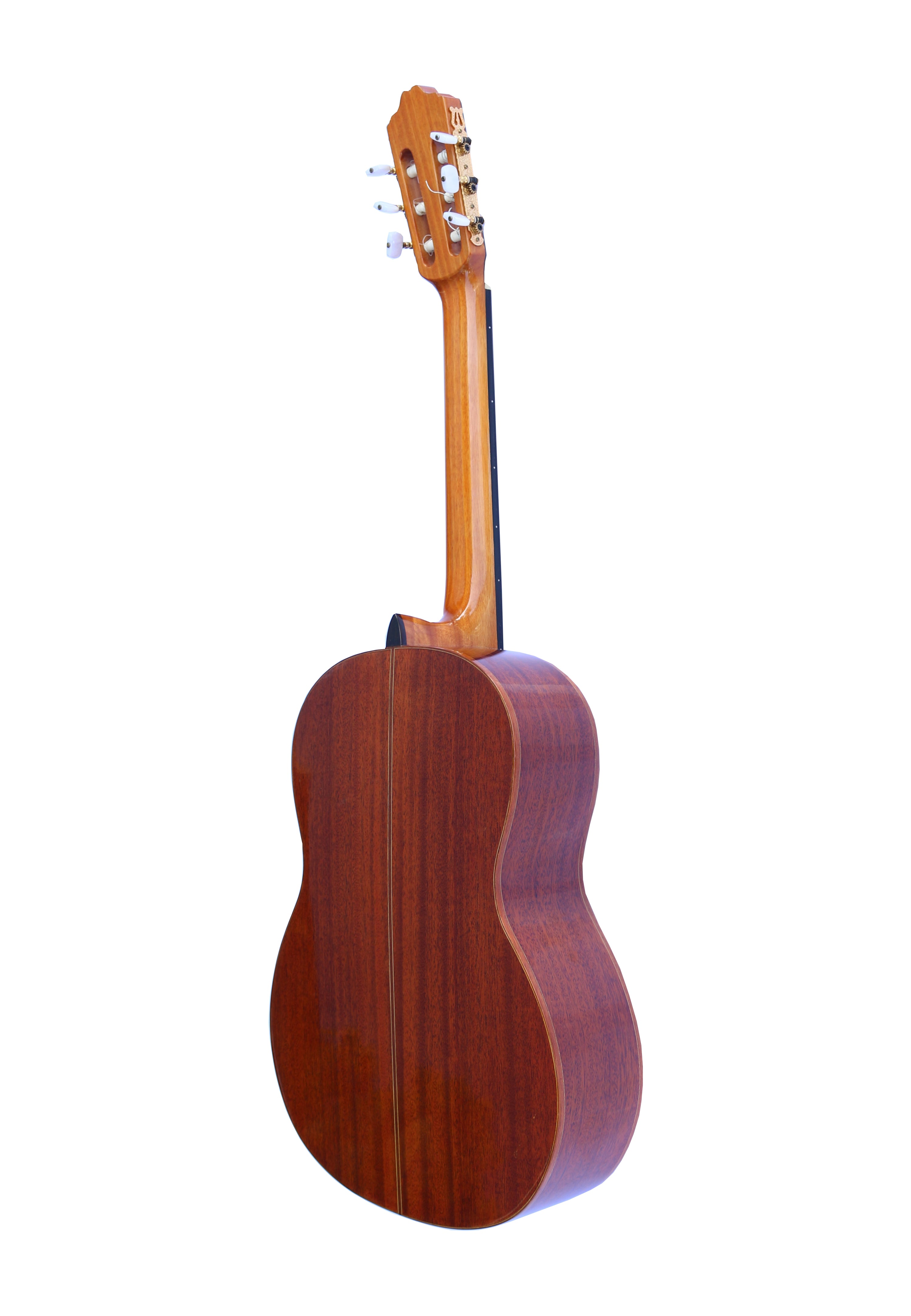 Fretless Classical Guitar DGP-203