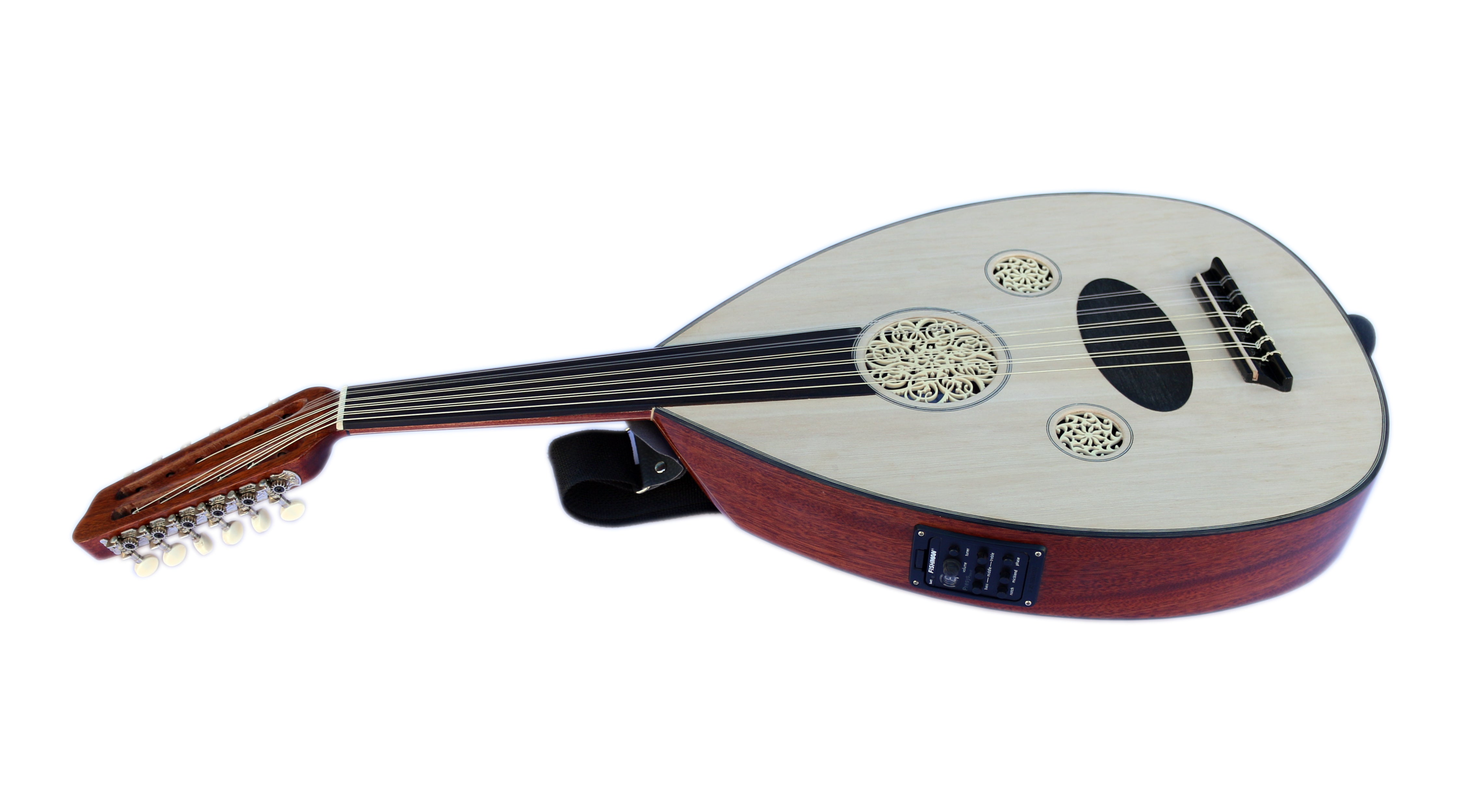 Professional Arabic Electric Oud OUDE EA5