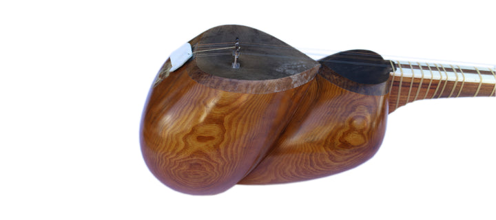 Dariosh tar DT-304 handmade Persian plucked instrument