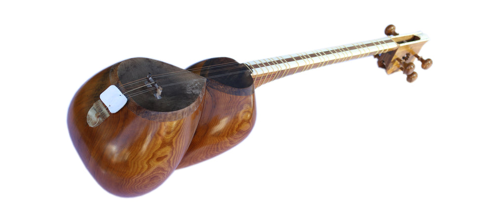 Persian tar DT-304 by Dariosh with mulberry body and camel skin