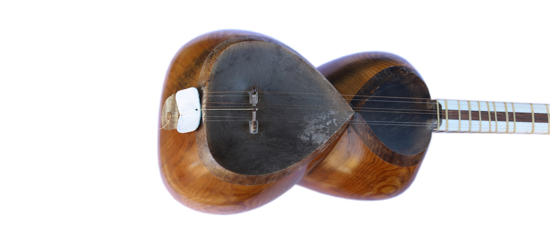 Dariosh Persian tar DT-304 double-bowl lute with carved details