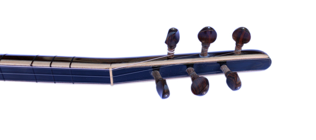 Electric baglama saz SES-12 by Sala