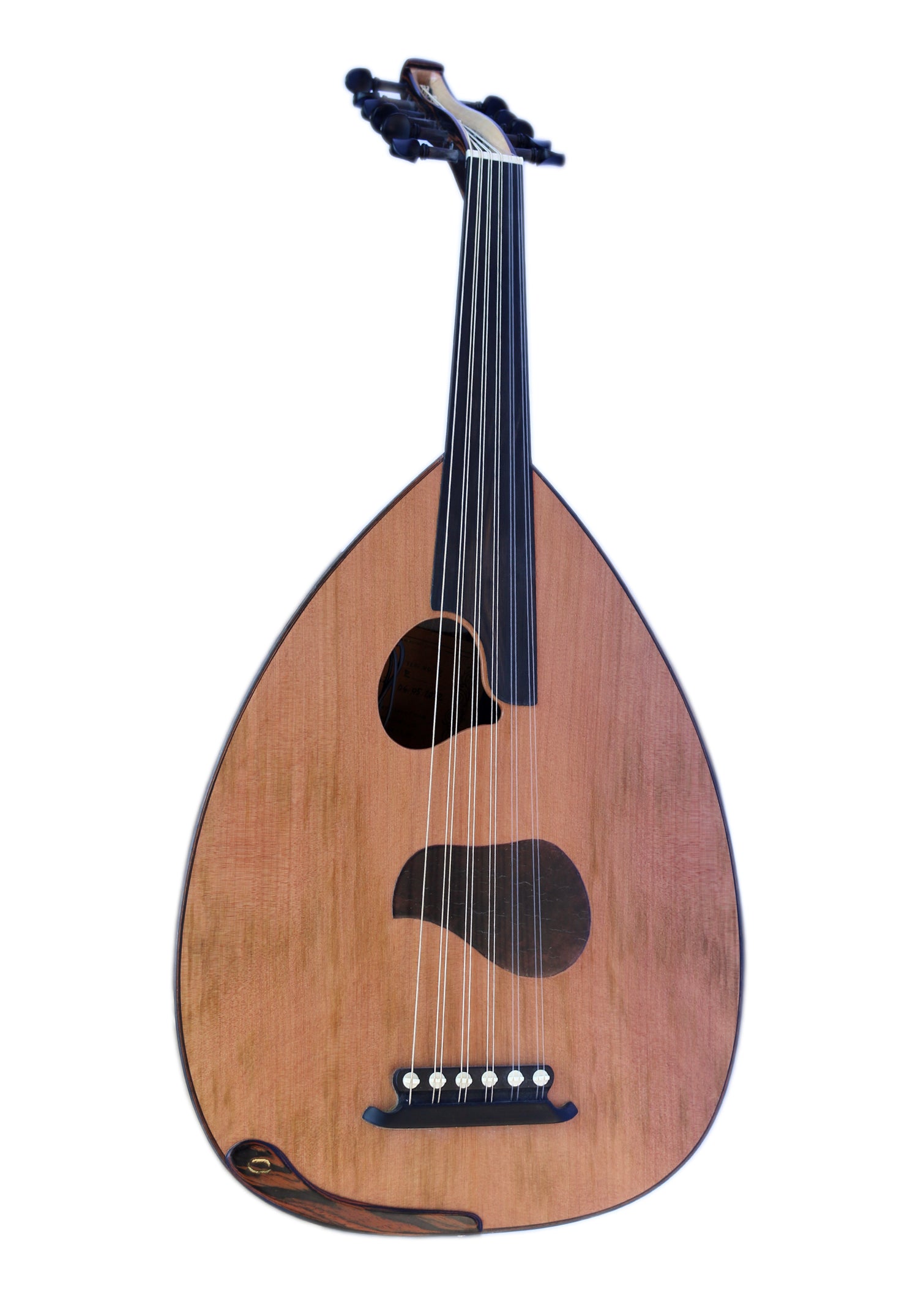 Special Electric Oud PROUD-5 by Mehmet Caymaz