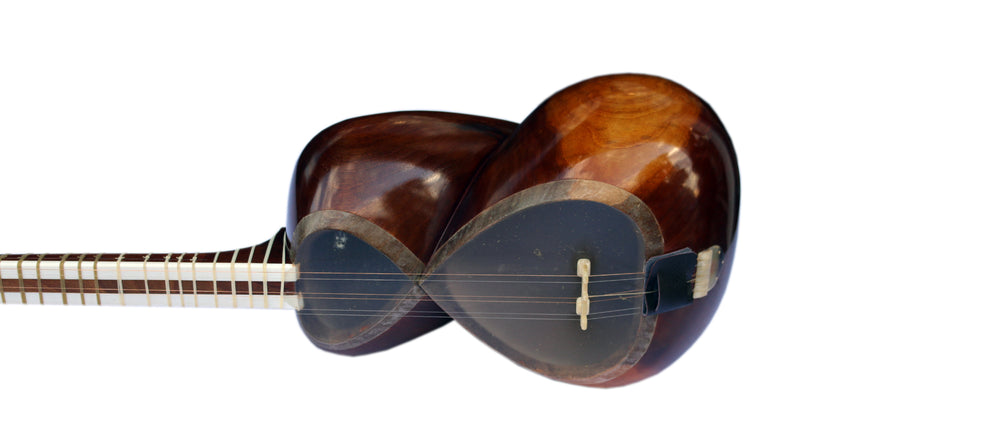 Left-handed tar DPT-3L by Delnavaz with mulberry body Persian instrument