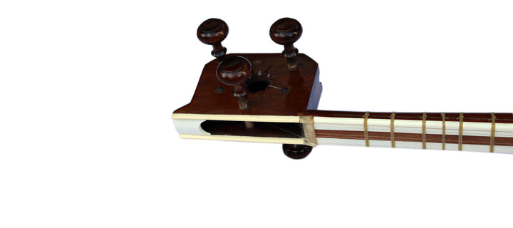Tar DPT-3L by Delnavaz handmade left-handed Persian instrument