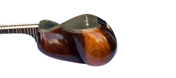 Delnavaz Persian tar DPT-3L left-handed stringed plucked instrument