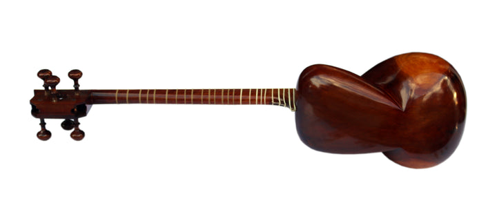 Delnavaz Persian tar DPT-3L left-hand classical plucked instrument